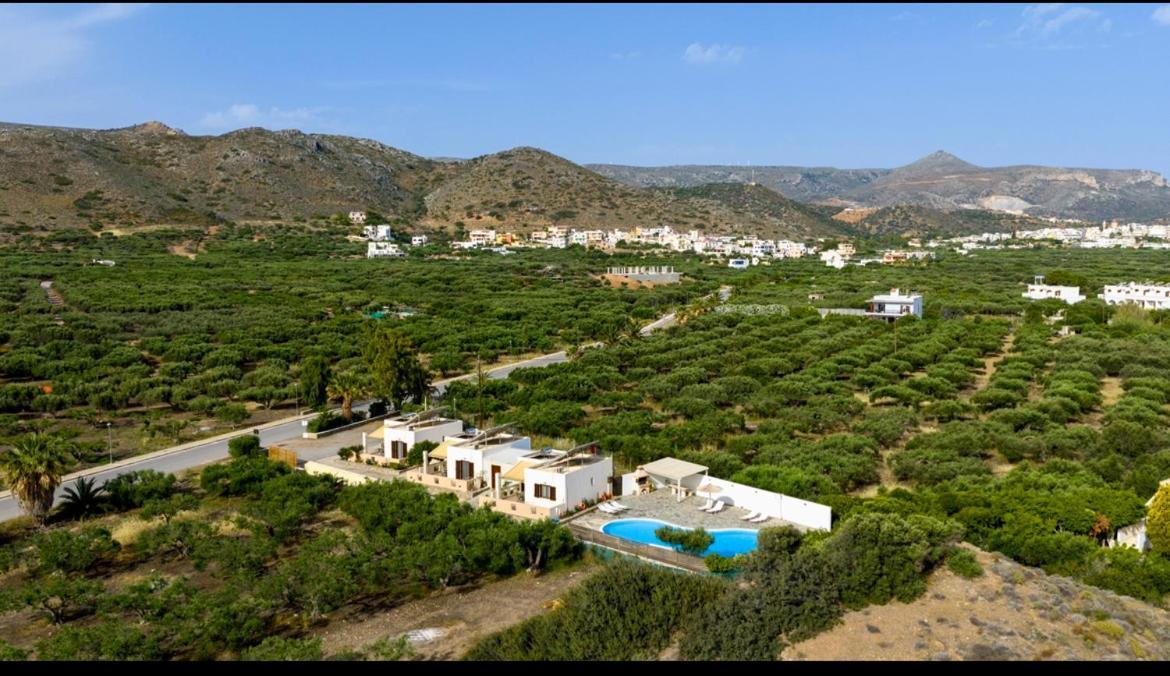 Rousolakos Pool Apartments باليكاسترون المظهر الخارجي الصورة